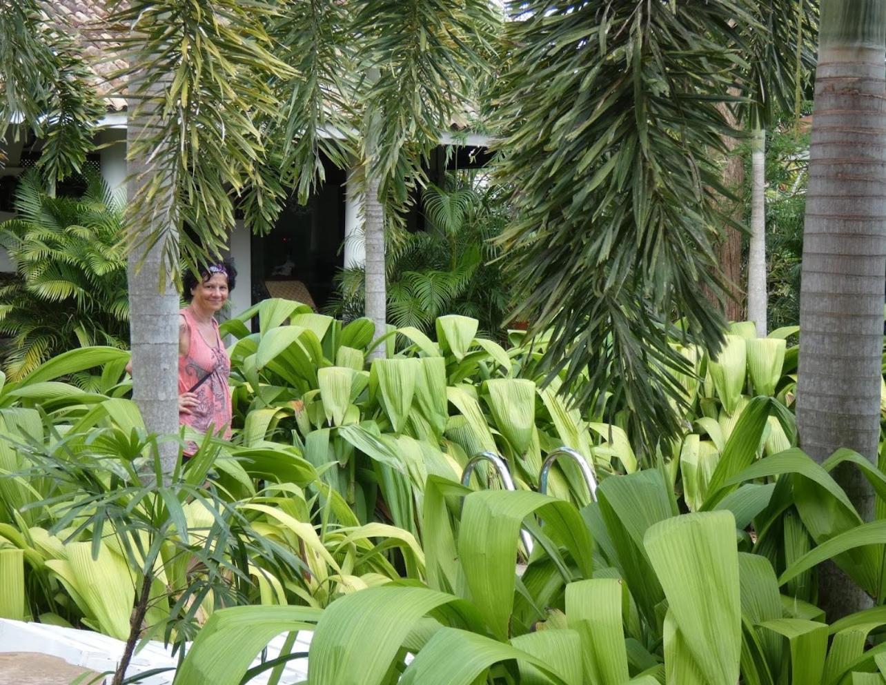 Hotel Wild Heaven Tissamaharama Exterior foto